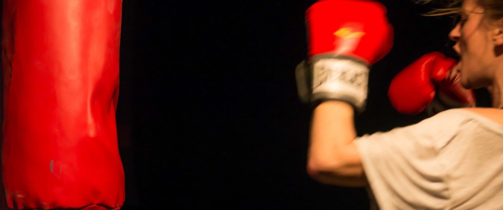 Bitch Boxer 2- ©Helmut Bär
