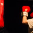 Bitch Boxer