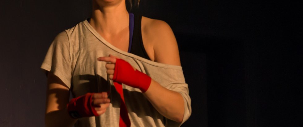 Bitch Boxer 14- ©Helmut Bär Bitch Boxer 14- ©Helmut Bär