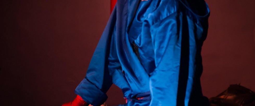 Bitch Boxer 21- ©Helmut Bär Bitch Boxer 21- ©Helmut Bär